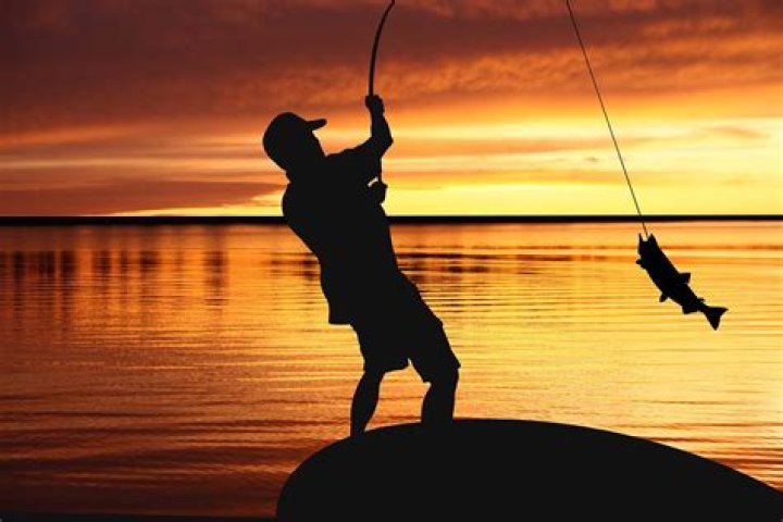 How do you catch different types of fish?
