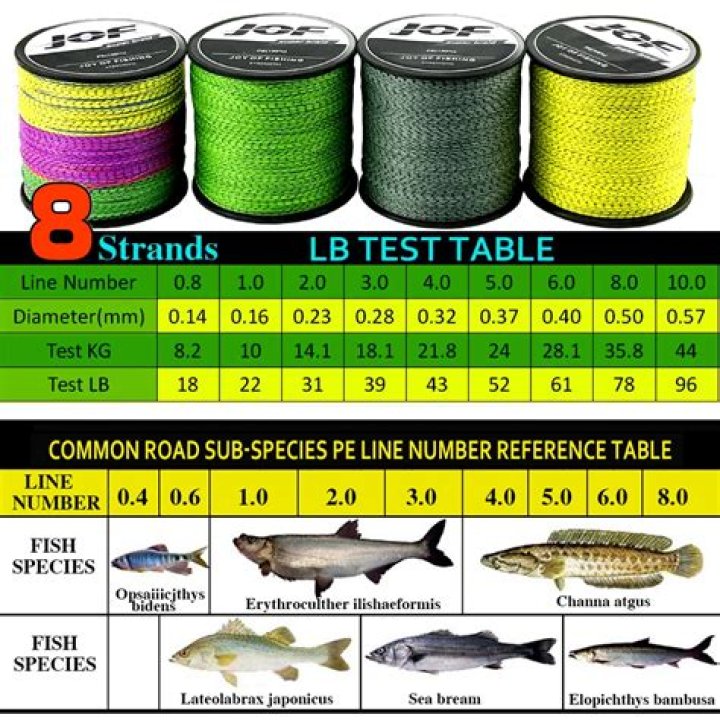 Is 10lb braid too much for bass?