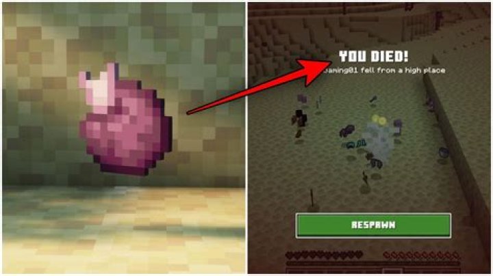 What happens when a player dies in multiplayer?