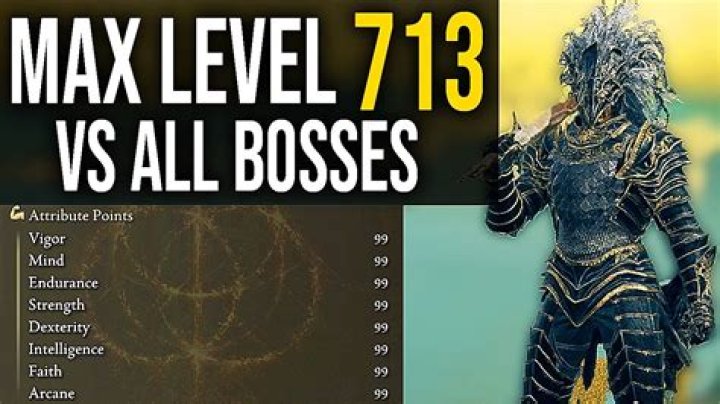 What is the max level in dungeon defenders?