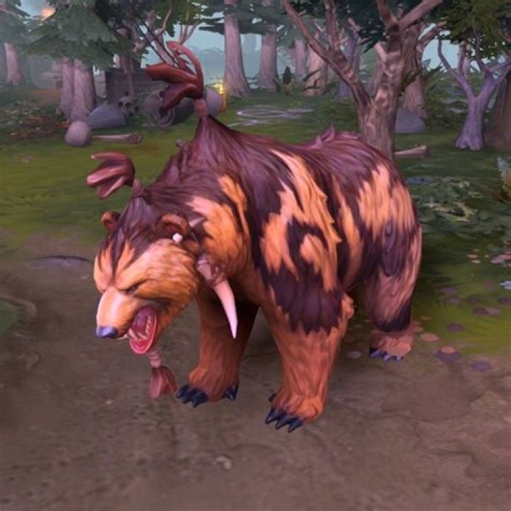 What is the name of Lone Druid bear?