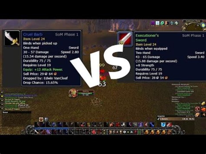 What level can warriors dual wield?